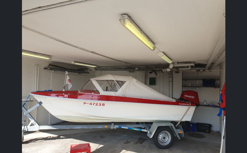 Marino Mustang-kuva-2